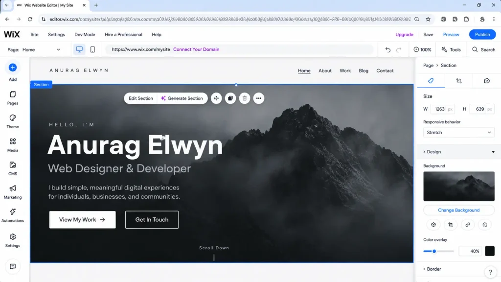 screenshot of Anurag Elwyn Xess's working on wix